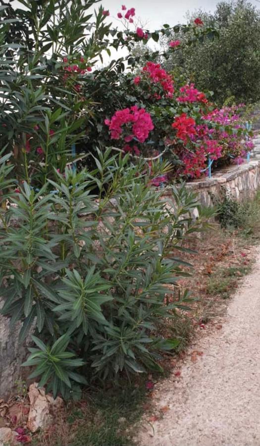 Villa Hena Sarande Exterior photo